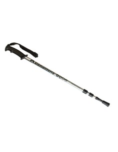 Hiking Poles Element 2