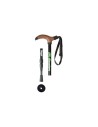Hiking Poles Element