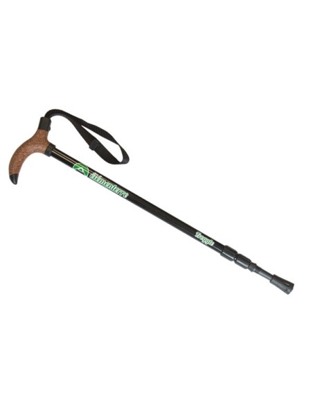Hiking Poles Element